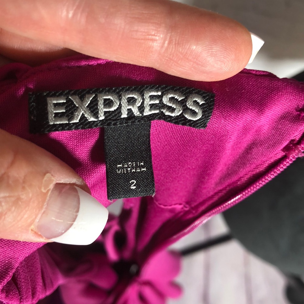 Express Dress - Picture 3 of 3